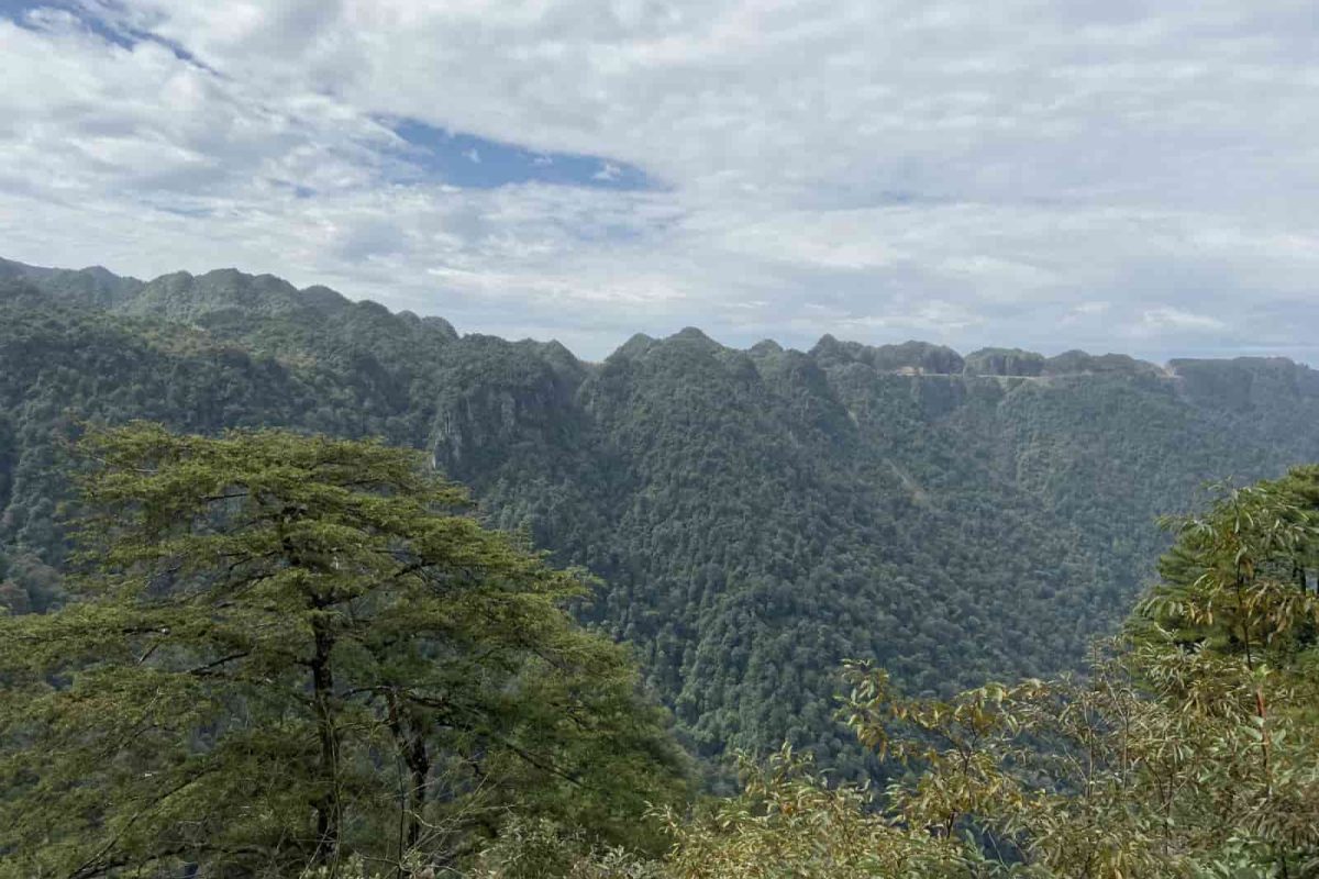 DaMing-Mountain-View