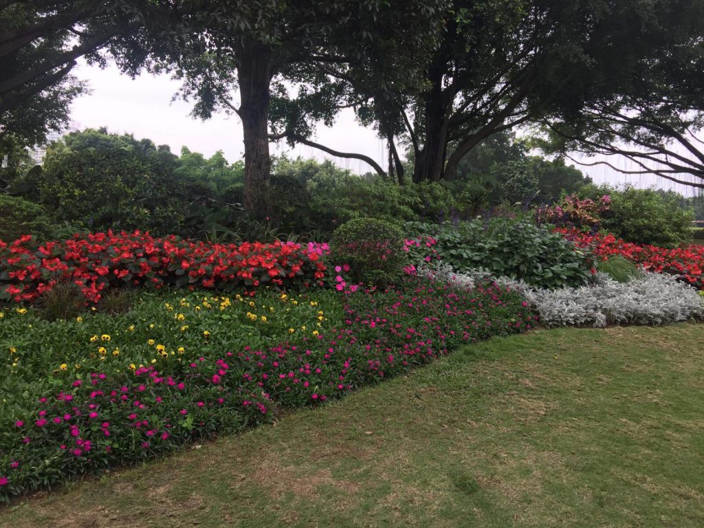 Nanning Attractions - Nanhu Garden