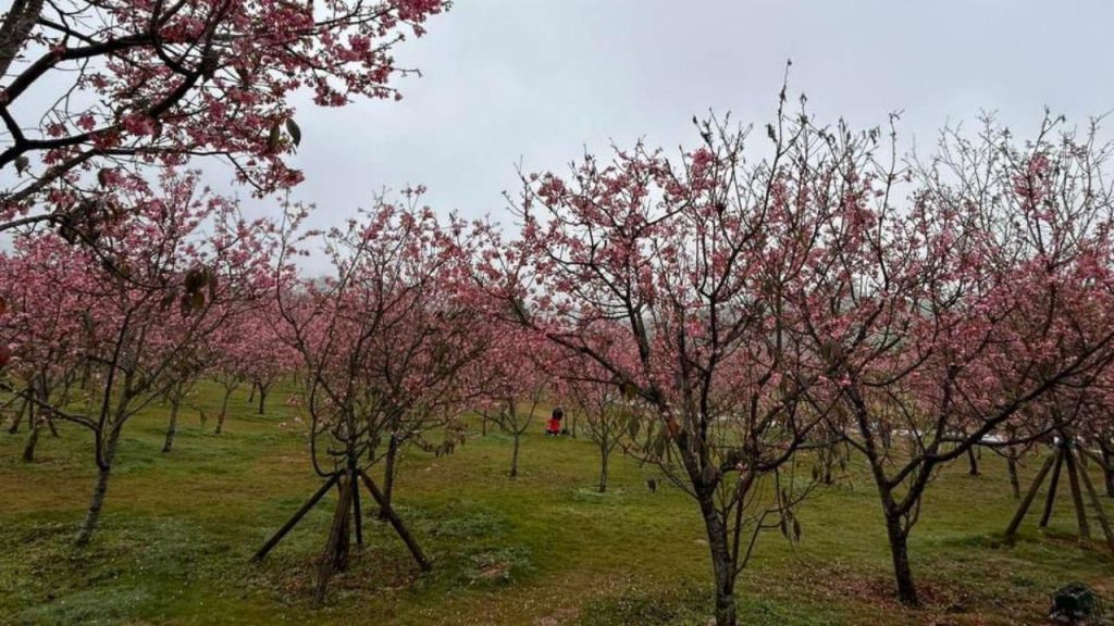 Nanning-Green-Spaces